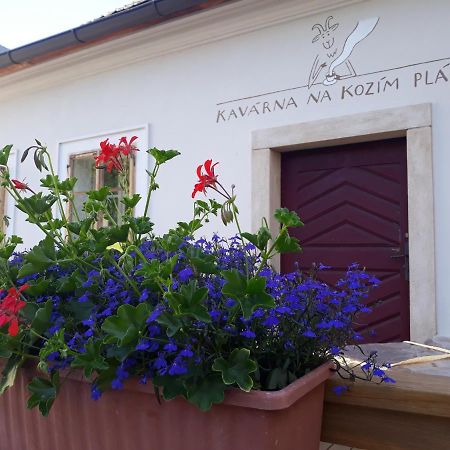 Cafe Kozi Placek Кутна Гора Екстер'єр фото