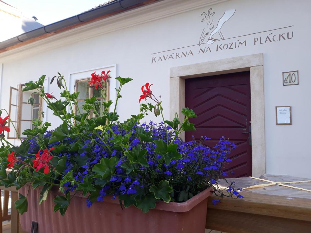 Cafe Kozi Placek Кутна Гора Екстер'єр фото